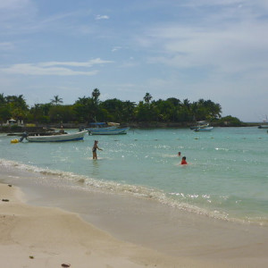 P1150254
