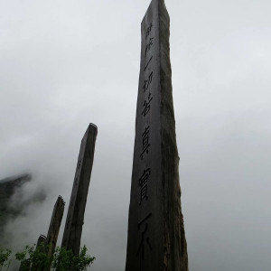 14355691_676037325887433_6630681652178921130_n