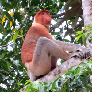 14433121_678168922340940_6145811307117168710_n