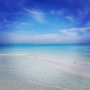 IMG_20160912_175307