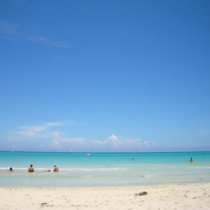 DSC05017