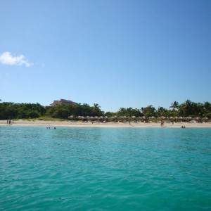 DSC05078