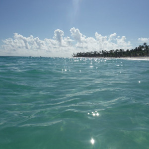 DSCF4767