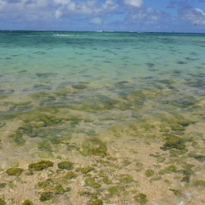 DSCF0509