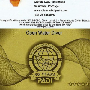 PADI,
