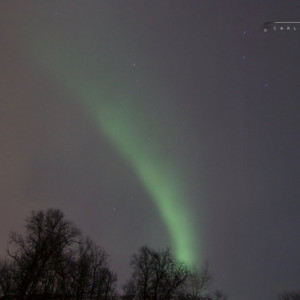 IMG_7584_signed