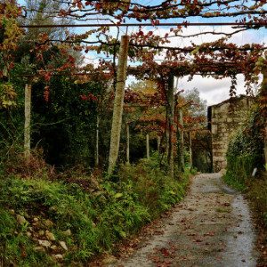 Sande de Baixo, Vila Verde