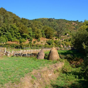 DSC_1749a (Copiar)