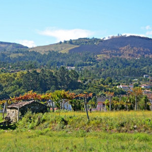 DSC_1810a (Copiar)