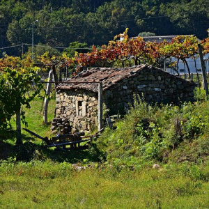 DSC_1824a (Copiar)