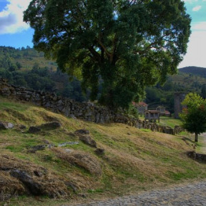 DSC_1892a (Copiar)