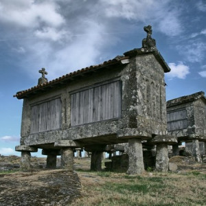 DSC_1911a (Copiar)