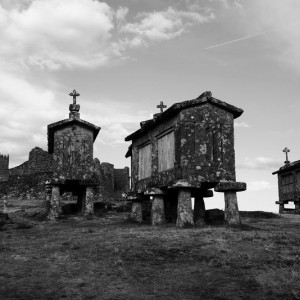 DSC_1919a (Copiar)