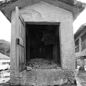 DSC_1941a (Cópia)