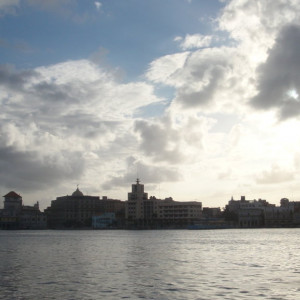DSC05229