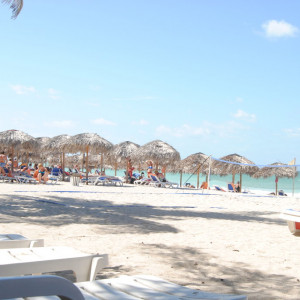 DSC_0079 (1)