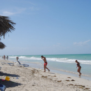 DSC_0089 (1)