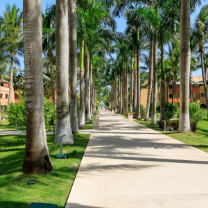 Jardim4