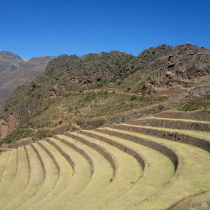 Vale 7 Pisac