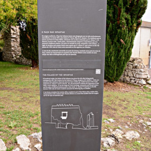 DSC_2486a (Copiar)