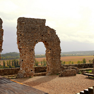 DSC_2441a (Copiar)