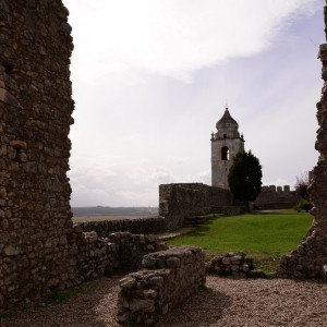 DSC_2443a (Copiar)