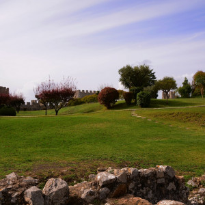 DSC_2446a (Copiar)