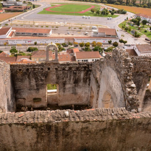 DSC_2452a (Copiar)