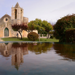 DSC_2454a (Copiar)