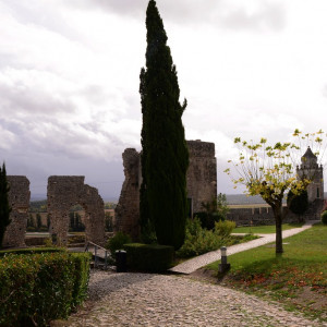 DSC_2470a (Copiar)