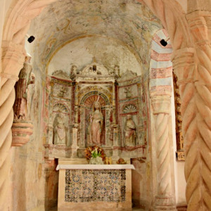 DSC_2474a (Copiar)