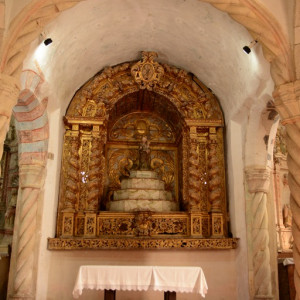 DSC_2476a (Copiar)