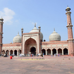 India_2016 (11)