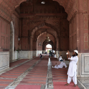 India_2016 (13)
