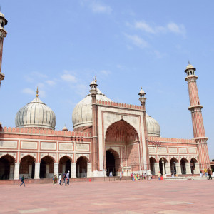 India_2016 (14)
