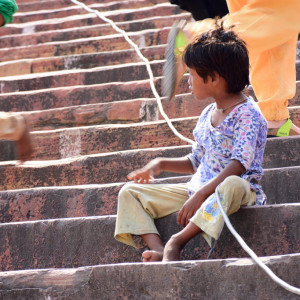 India_2016 (15)