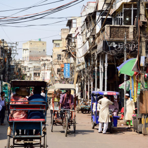 India_2016 (19)