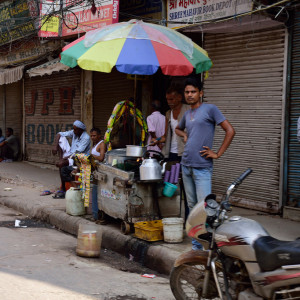 India_2016 (20)