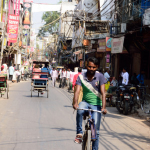 India_2016 (21)
