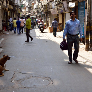 India_2016 (23)