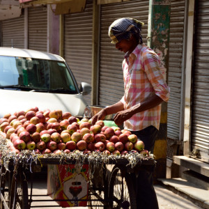 India_2016 (25)