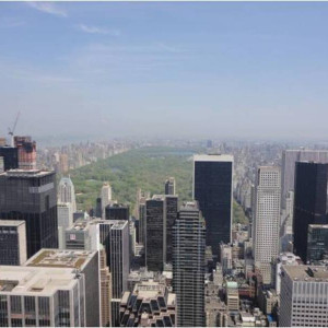Vista do Central Park