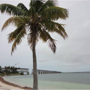 Calusa Beach em Bahia Honda (pode-se ver à esquerda a ponte onde passava a antiga e à direita a nova)
