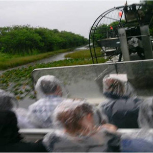 Passeio de airboat nos Everglades