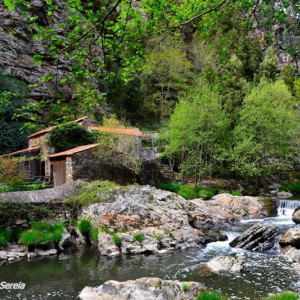 Paraíso Verde