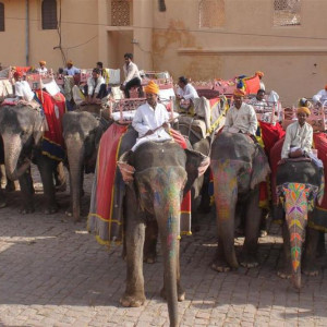 Em Jaipur