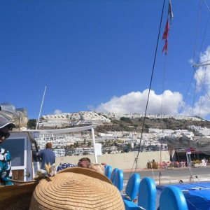 Barco Animal encounters