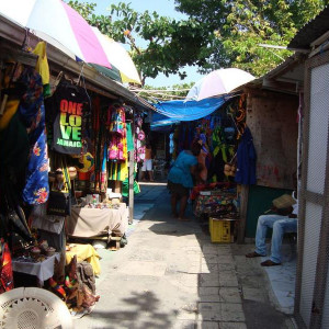 DSC03487
