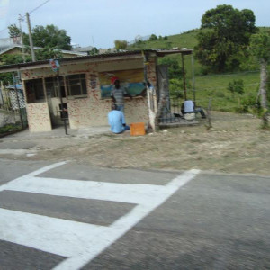 DSC03725