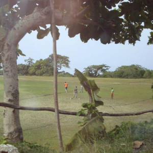 DSC03726